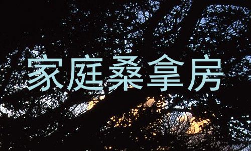 家庭桑拿房