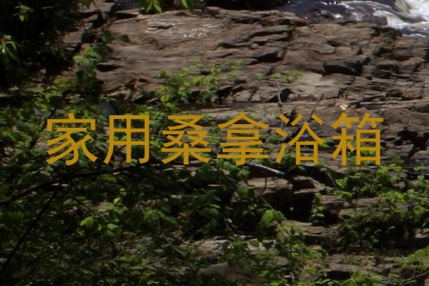 家用桑拿浴箱