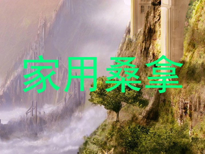 家用桑拿