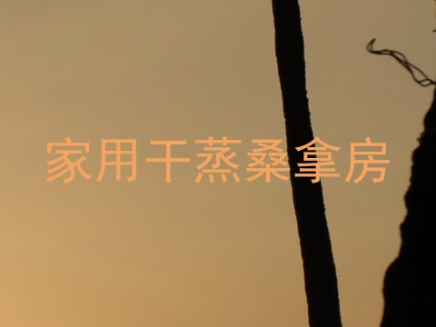 家用干蒸桑拿房