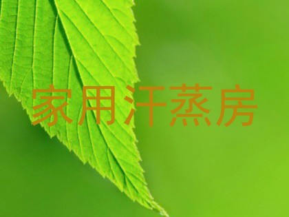 家用汗蒸房