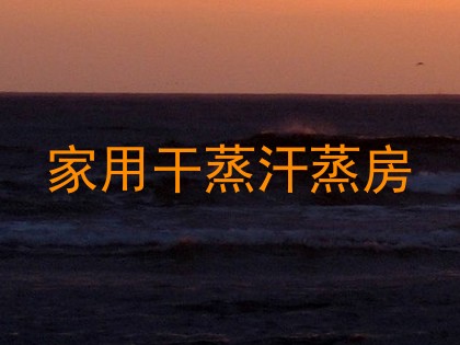 家用干蒸汗蒸房