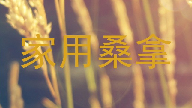 家用桑拿