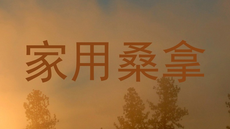 家用桑拿