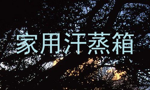 家用汗蒸箱