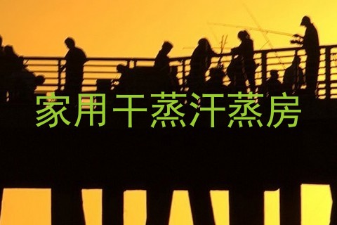 家用干蒸汗蒸房