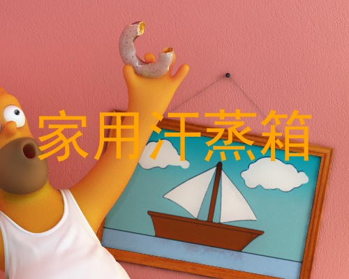 家用汗蒸箱