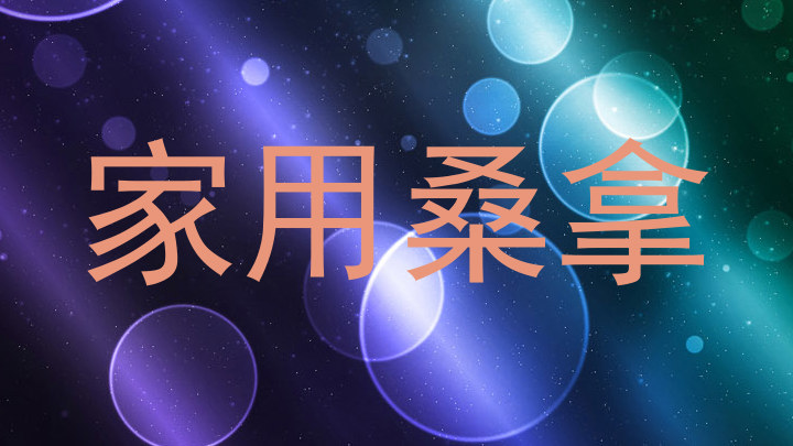 家用桑拿