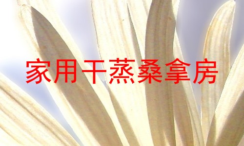 家用干蒸桑拿房