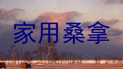 家用桑拿