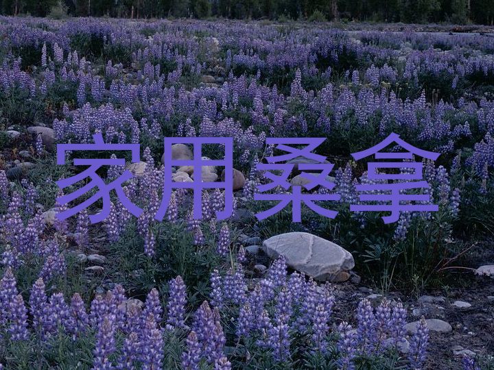 家用桑拿