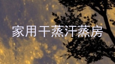 家用干蒸汗蒸房