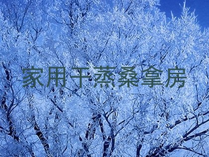 家用干蒸桑拿房
