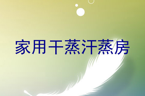 家用干蒸汗蒸房