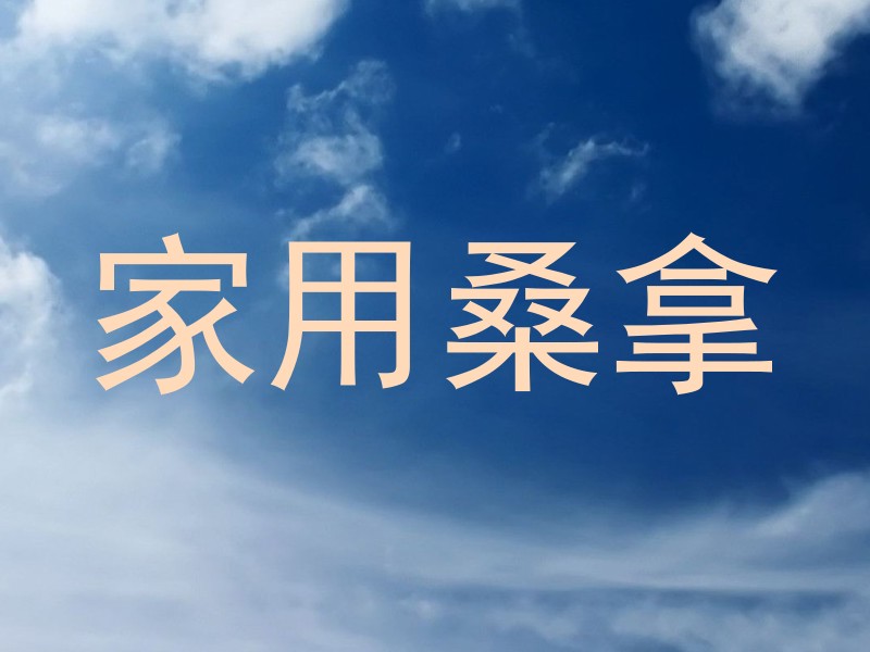 家用桑拿