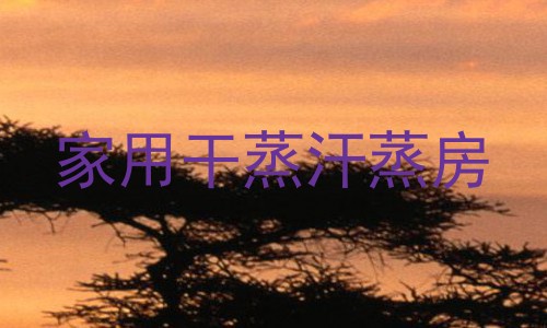家用干蒸汗蒸房