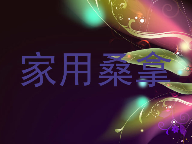 家用桑拿