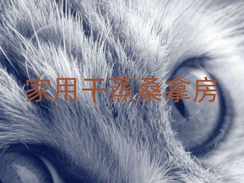 家用干蒸桑拿房