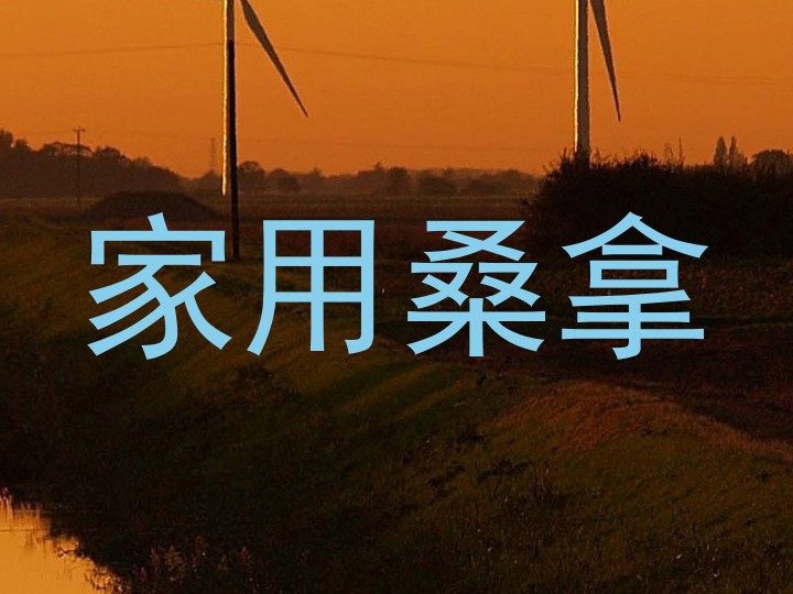 家用桑拿
