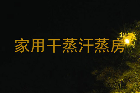 家用干蒸汗蒸房