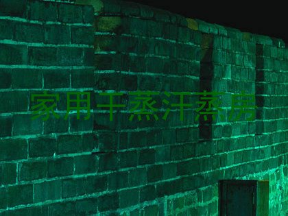 家用干蒸汗蒸房