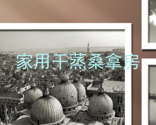 家用干蒸桑拿房