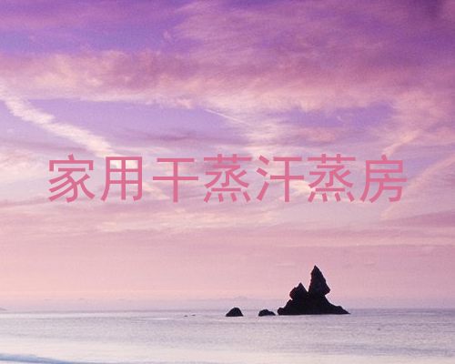 家用干蒸汗蒸房