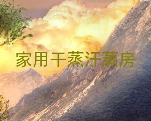 家用干蒸汗蒸房