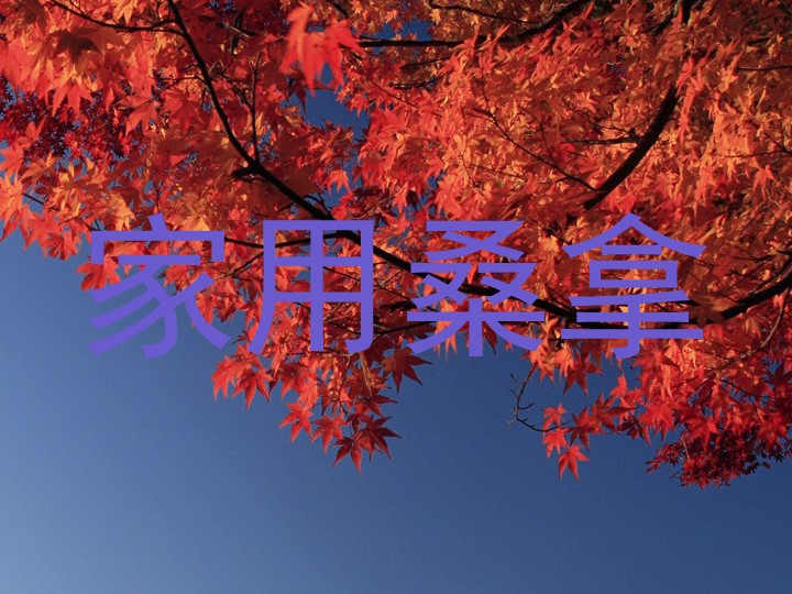 家用桑拿