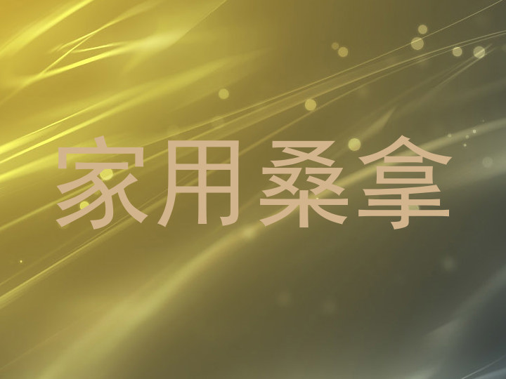 家用桑拿