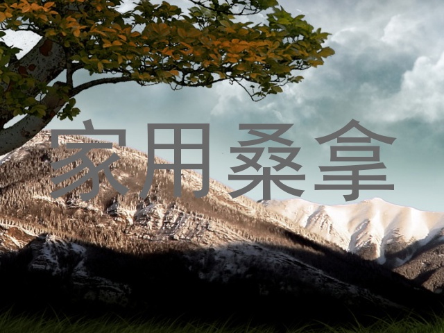 家用桑拿