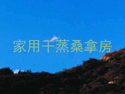 家用干蒸桑拿房