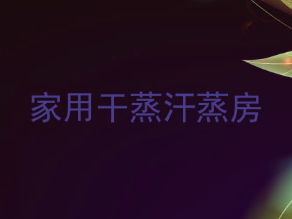 家用干蒸汗蒸房