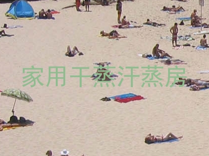 家用干蒸汗蒸房