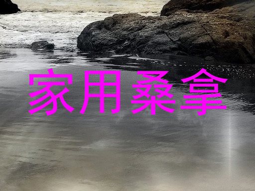 家用桑拿