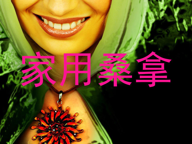 家用桑拿