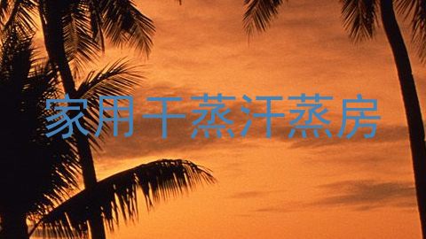 家用干蒸汗蒸房