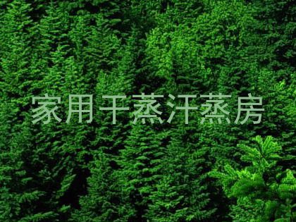 家用干蒸汗蒸房