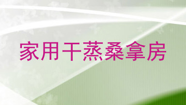 家用干蒸桑拿房