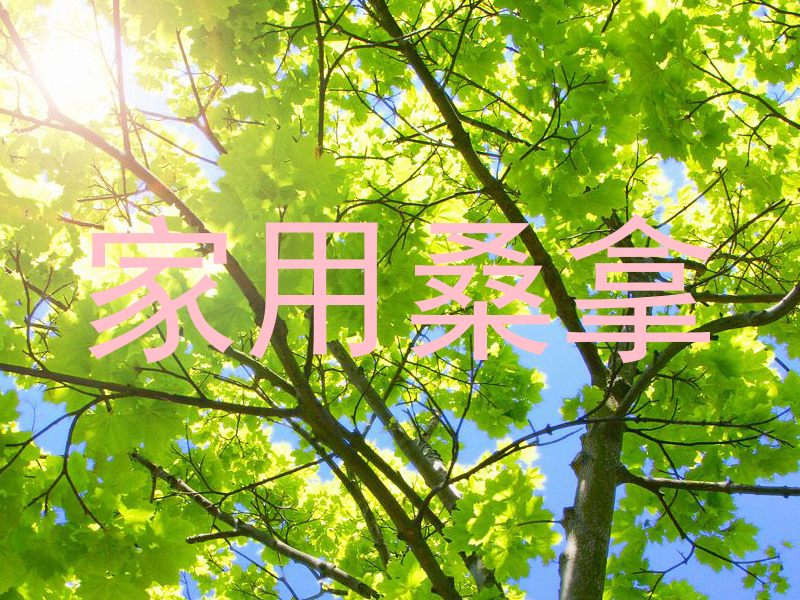 家用桑拿