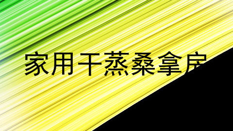 家用干蒸桑拿房