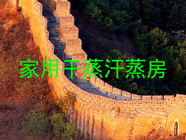家用干蒸汗蒸房
