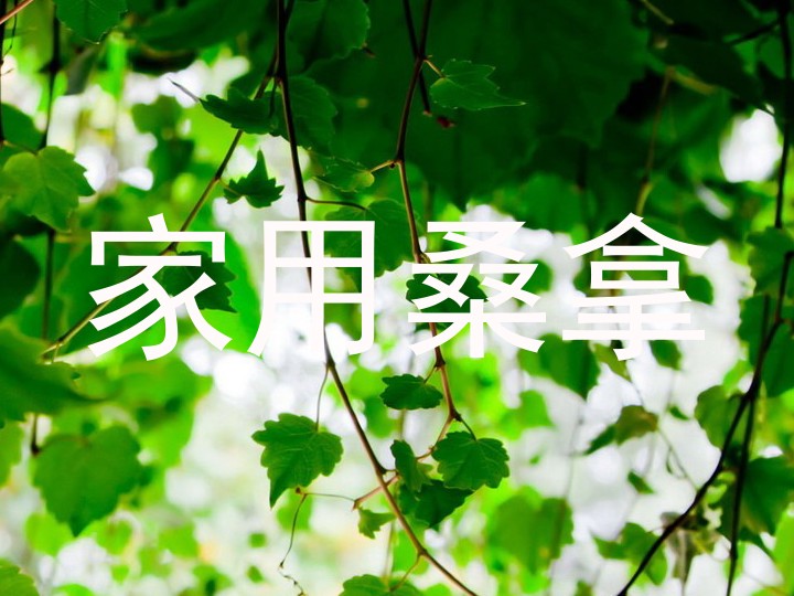 家用桑拿