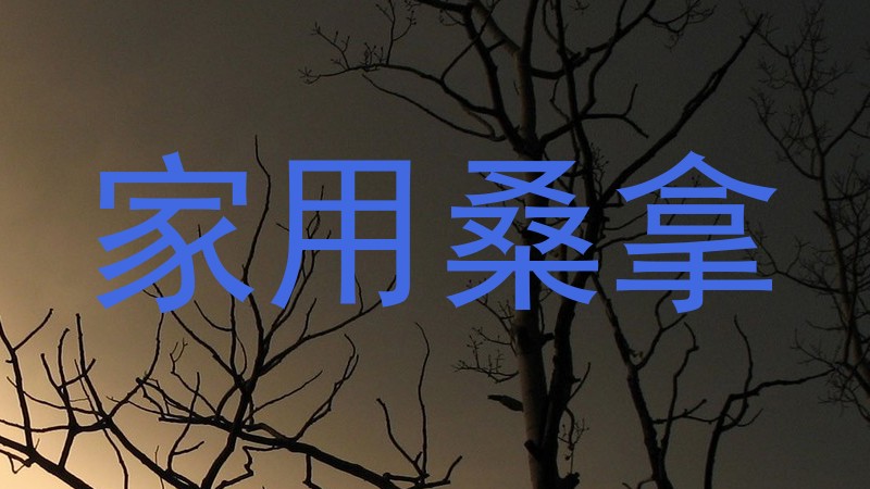 家用桑拿
