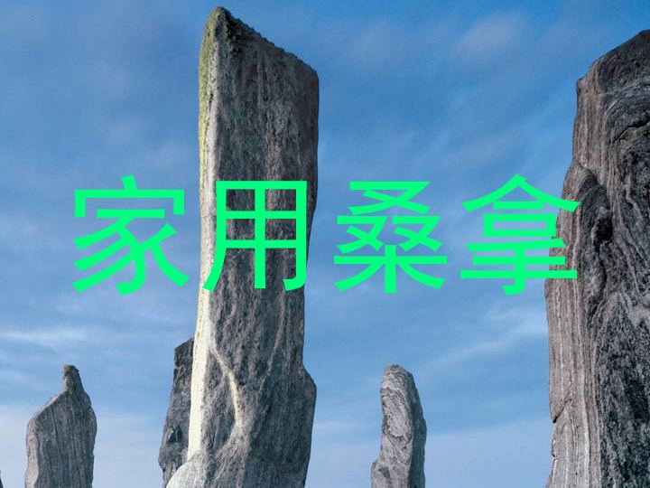家用桑拿