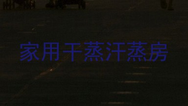 家用干蒸汗蒸房