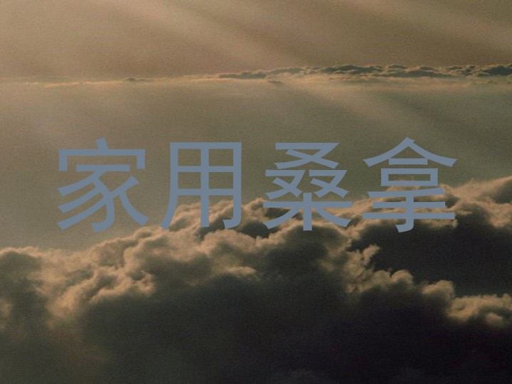 家用桑拿