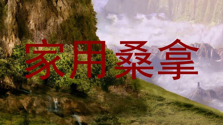 家用桑拿