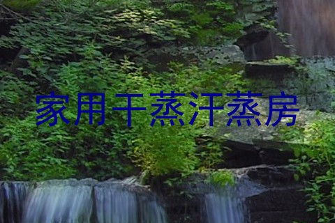 家用干蒸汗蒸房