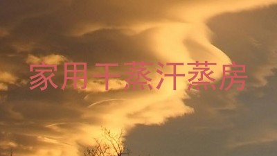 家用干蒸汗蒸房